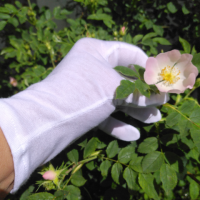 Screenshot 20250523 124023