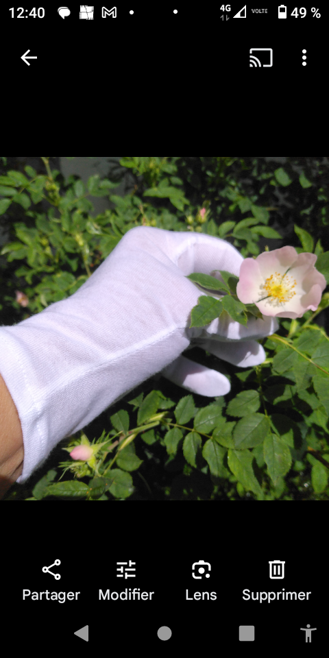 Screenshot 20250523 124023