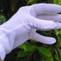 Screenshot 20250530 193644