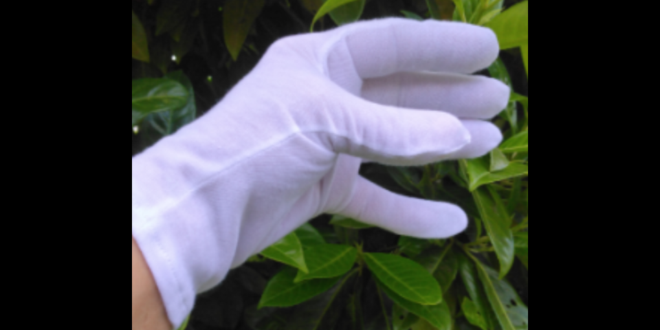 Screenshot 20250530 193644